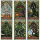 The Spirit of Nature Oracle kort og bok av John Matthews & Will Worthington thumbnail