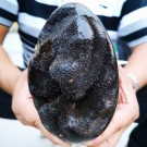 Septarian Dragon Egg Geode 1,69 kilo thumbnail