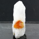 Chondroditt i Matrix 30,14 gram thumbnail