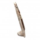 Orthoceras blekksprut upolert skulptur 20 cm thumbnail