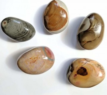 Polykrom Jaspis (Desert Jasper) Tromlet Medium AAA-kvalitet