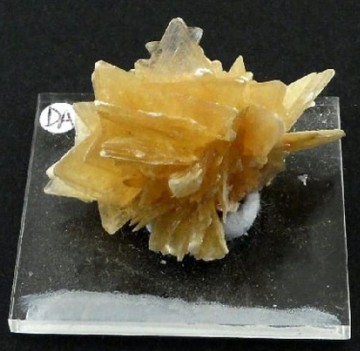 Muscovitt, gullstjerne 11,30 gram
