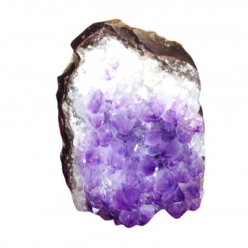 Ametyst Cut Base stående (geode) D-kvalitet 563 gram