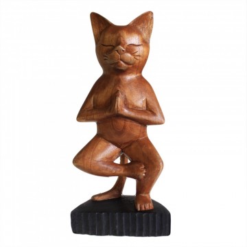 Yoga katt one leg 30 cm