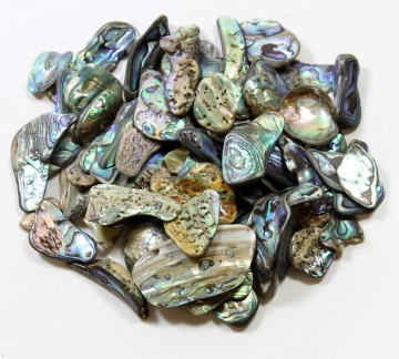 Abalone (Paua) skjell Tromlet Medium AAA-kvalitet