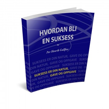 Hvordan bli en suksess