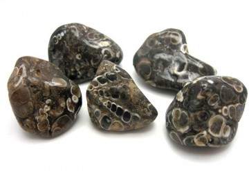 Agat, turritella Tromlet Medium AAA-kvalitet