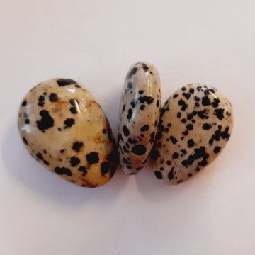 Jaspis, dalmatiner anheng med sidehull AAA-kvalitet