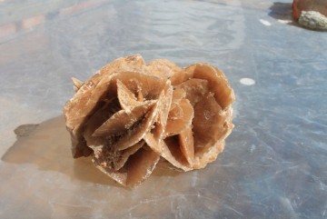 Ørkenrose 1645 gram