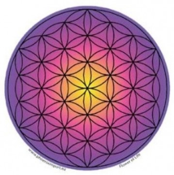 Vindus pynt, Flower of Life lilla sticker