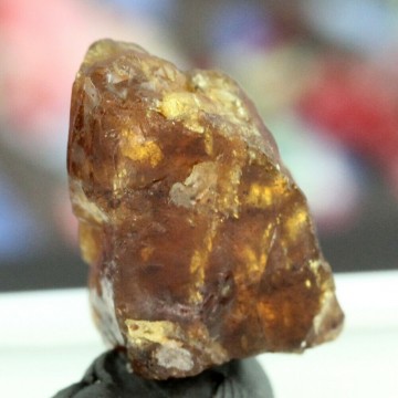 Rav (Burmitt Amber) 100 millioner år 1,55 gram