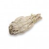 10 stk Hvit salvie (White Sage) smudge, liten 9-10 cm