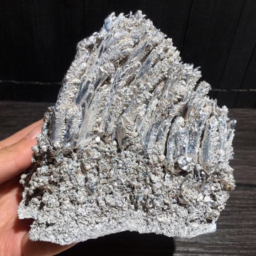 Magnesium (L) 165 gram rent metall