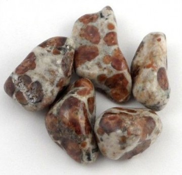Granat i Limestone Tromlet Medium AAA-kvalitet