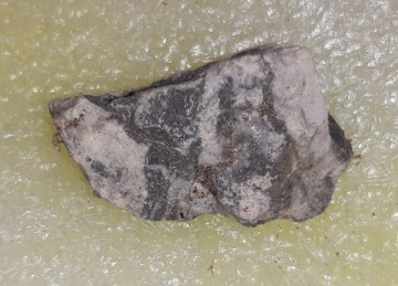 Suevitt (Gardnos) Rå 23 gram AAA-kvalitet