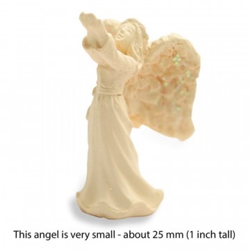 Tiny Amazing Angels 2 cm - Blessing