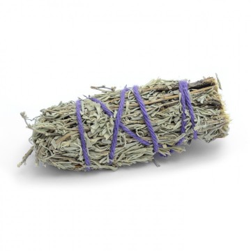 Salvie (Desert Sage) smudge, liten 9-10 cm