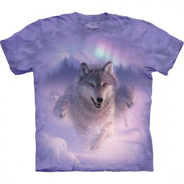 Northern Lights T-Shirt str XL