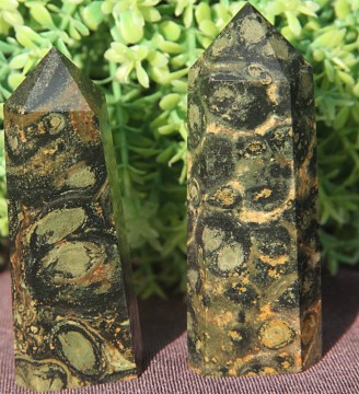 Jaspis, kambaba generator Medium 6-7 cm