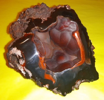 Red Fox Orrelanita Botryoidal Hematitt Agat  491 gram