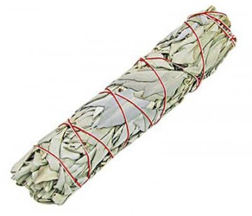 Hvit salvie (White Sage) smudge, stor 23-25 cm