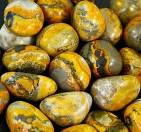 Bumble Bee Tromlet Medium AAA-kvalitet