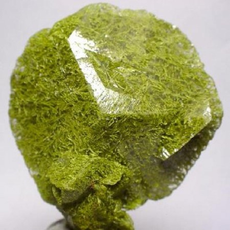 Mottramitt