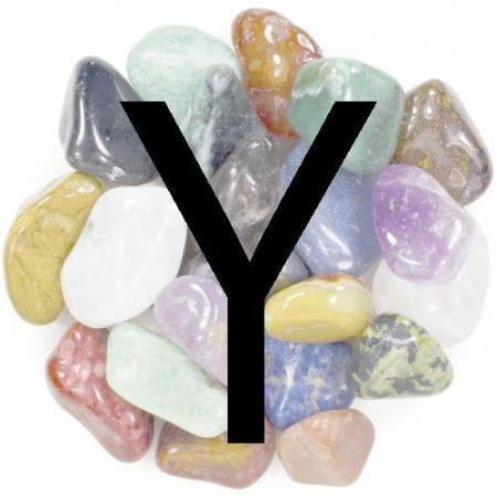 Y