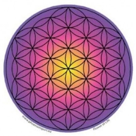 Vindus pynt, Flower of Life lilla sticker