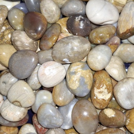 Agat, sea wood Tromlet Medium AAA-kvalitet
