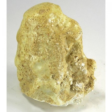 Copiapitt