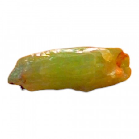 Pyromorfitt, grønn krystall 1,5 cm, 2 gram AAA+ kvalitet